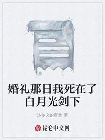 婚礼那日我死在了白月光剑下