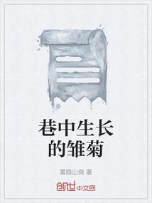 巷中生长的雏菊