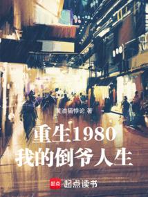 重生1980：我的倒爷人生