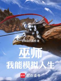 巫师：我能模拟人生