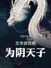 文字游戏我为阴天子