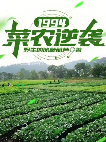 1994：菜农逆袭