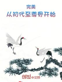 完美：从初代至尊骨开始