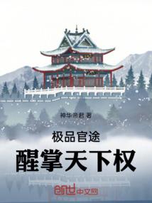 极品官途：醒掌天下权