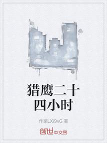 猎鹰二十四小时
