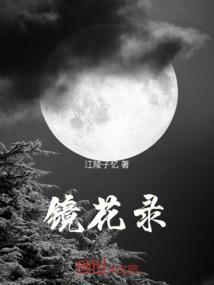 镜花录