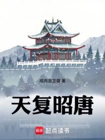 天复昭唐