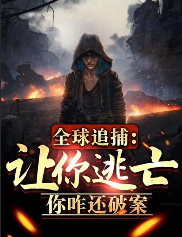 全球追捕：让你逃亡，你咋还破案