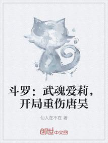 斗罗：武魂爱莉，开局重伤唐昊