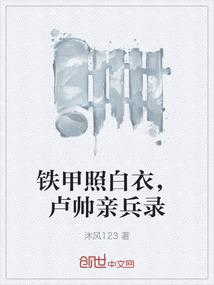 铁甲照白衣，卢帅亲兵录
