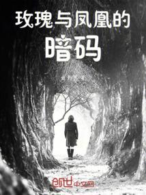 玫瑰与凤凰的暗码