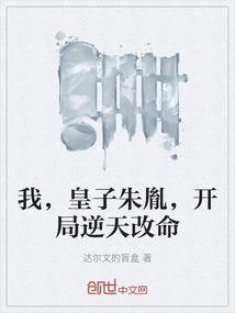 我，皇子朱胤，开局逆天改命