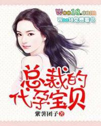 总裁的代孕宝贝