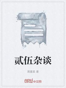 贰伍杂谈