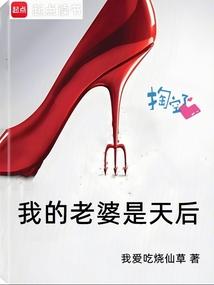 我的老婆是天后