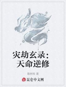 灾劫玄录：天命逆修