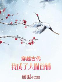 穿越古代，我成了大胤首辅