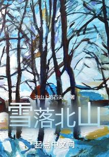 雪落北山