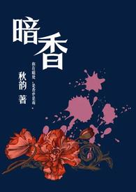 暗香（舅甥  1v1