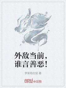 外敌当前，谁言善恶！