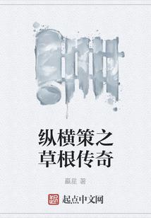 纵横策之草根传奇