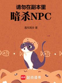 请勿在副本里暗杀NPC