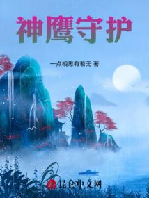 神鹰守护