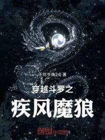 穿越斗罗之疾风魔狼
