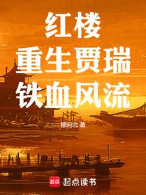 红楼：重生贾瑞，铁血风流