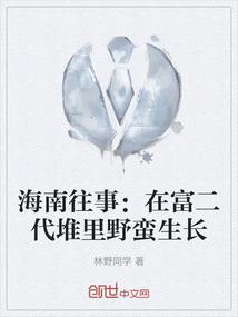 海南往事：在富二代堆里野蛮生长