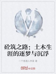 砼筑之路：土木生涯的逐梦与沉浮