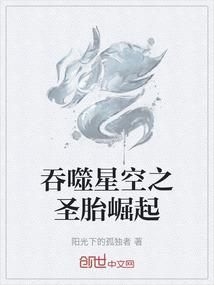 吞噬星空之圣胎崛起