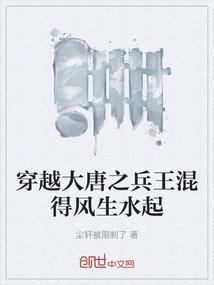 穿越大唐之兵王混得风生水起