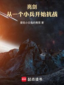 亮剑：从一个小兵开始抗战