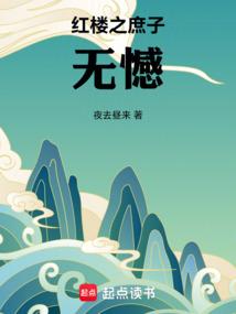 红楼之庶子无憾