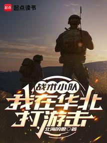战术小队：我在华北打游击