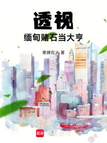 透视：缅甸赌石当大亨