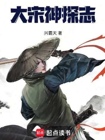 大宋神探志