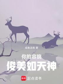 你的容貌俊美如天神